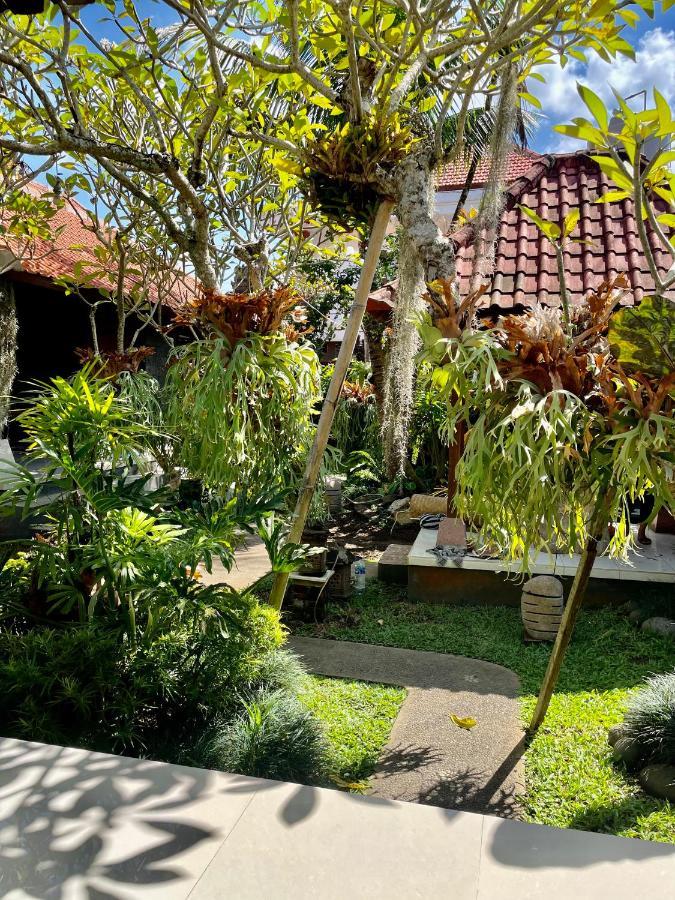 Dimuwa Ubud Εξωτερικό φωτογραφία