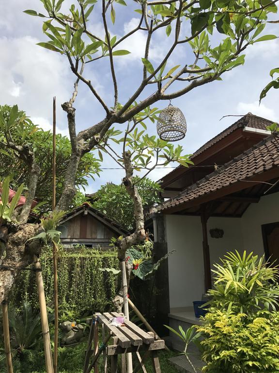 Dimuwa Ubud Εξωτερικό φωτογραφία