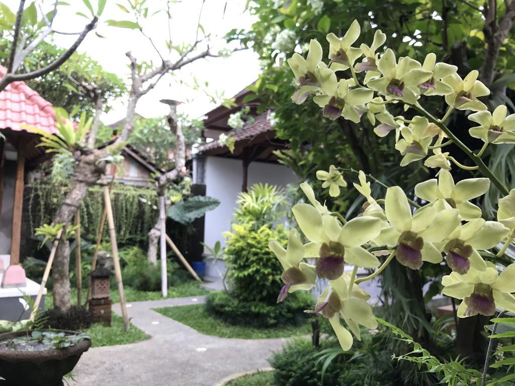 Dimuwa Ubud Εξωτερικό φωτογραφία