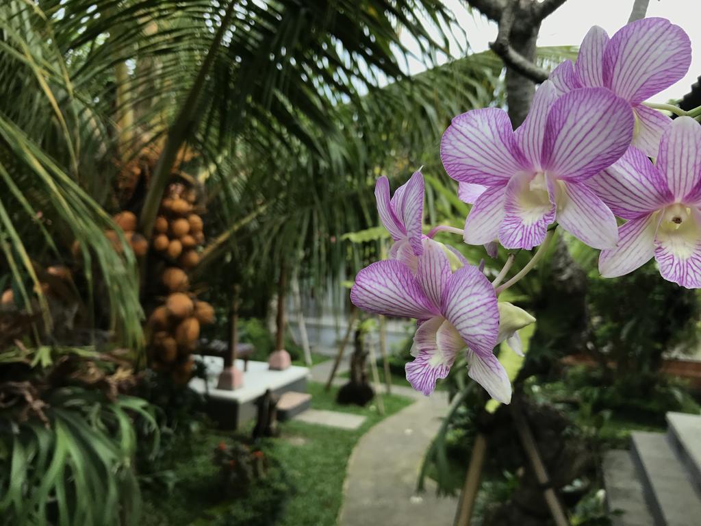 Dimuwa Ubud Εξωτερικό φωτογραφία