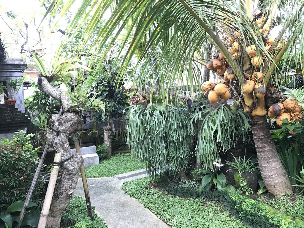 Dimuwa Ubud Εξωτερικό φωτογραφία