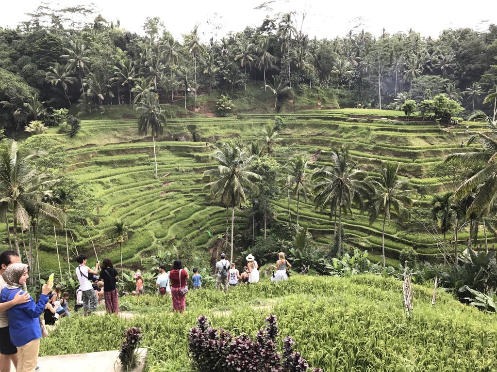 Dimuwa Ubud Εξωτερικό φωτογραφία