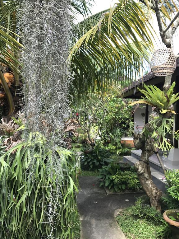 Dimuwa Ubud Εξωτερικό φωτογραφία
